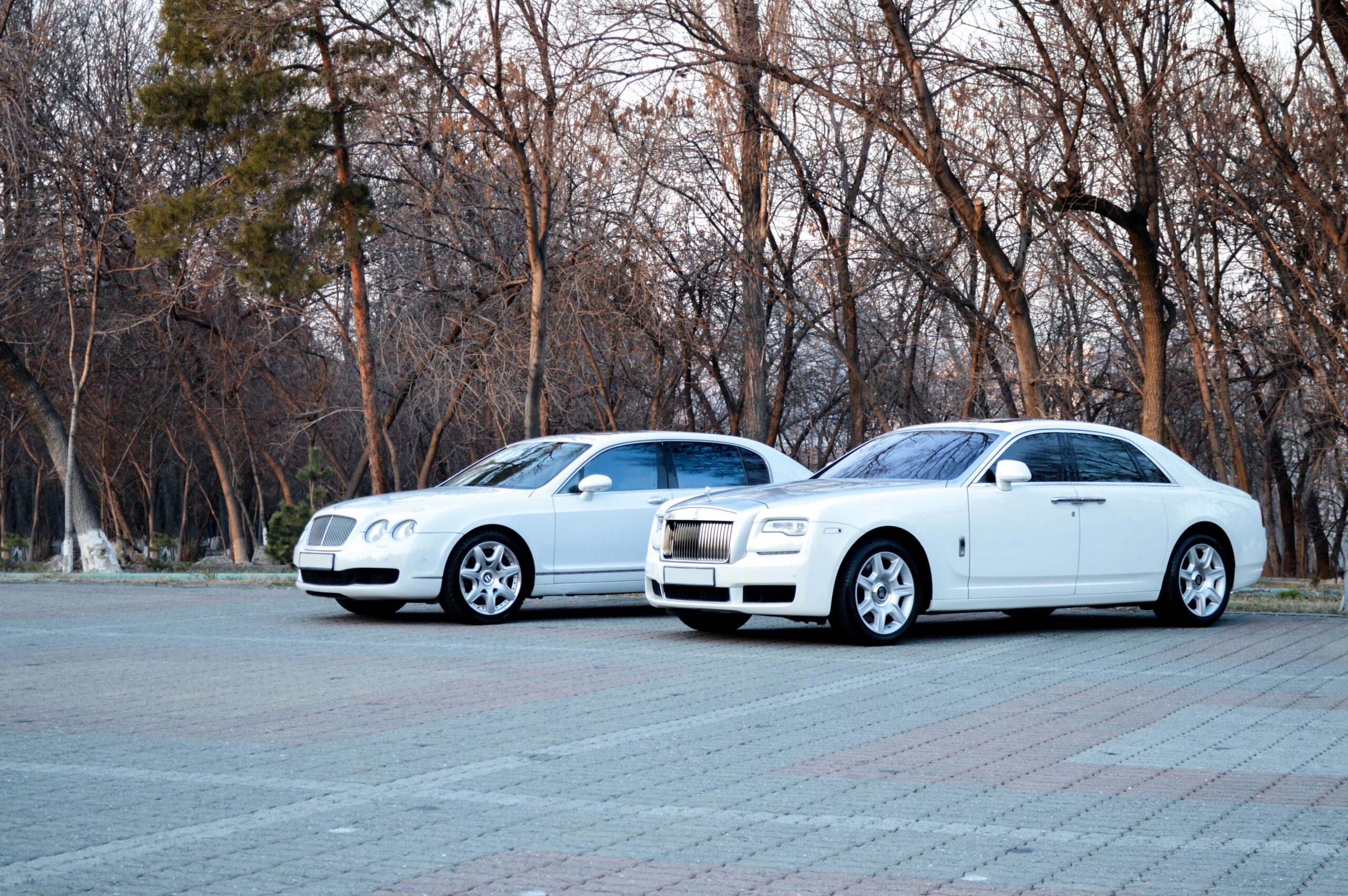 IMG_8454-scaled